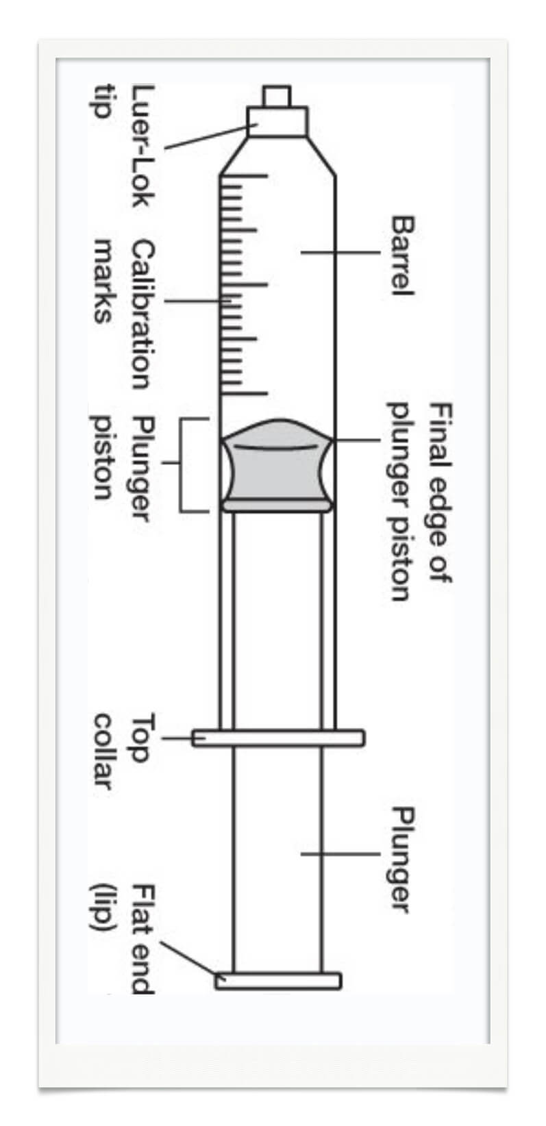 Disposable Syringe Diagram