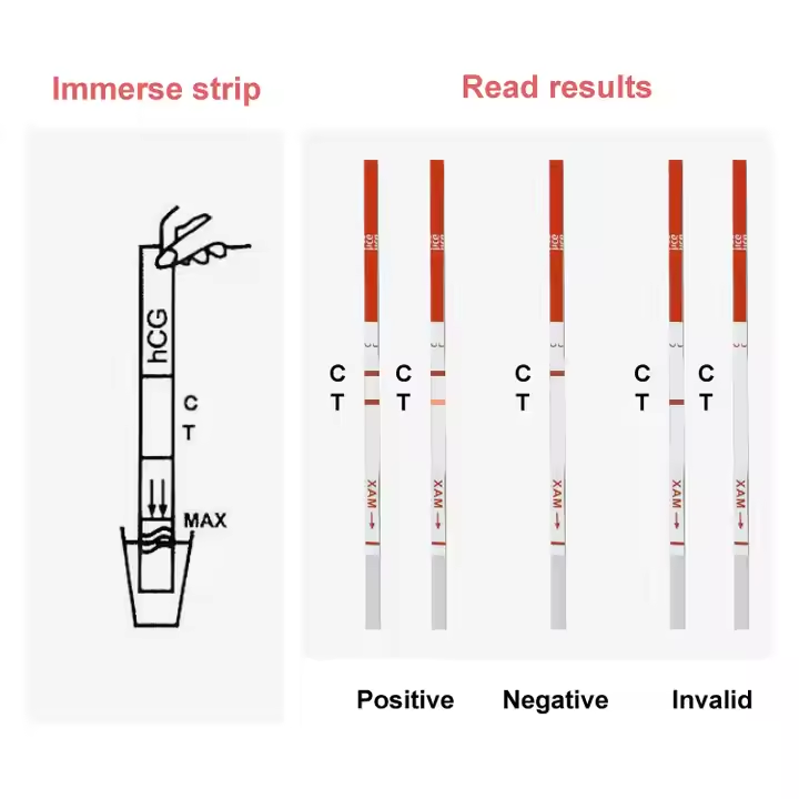 HCG Urine Test Pregnancy Strips Result